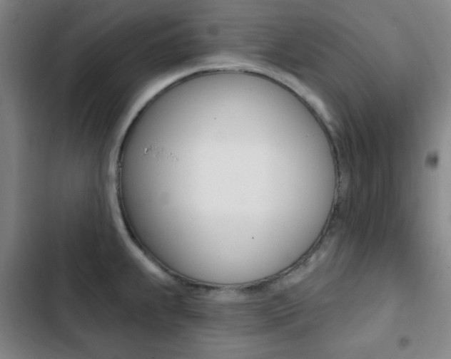 X0000103241239200808281025