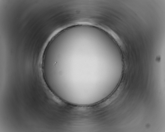 X0000103241240200808281026