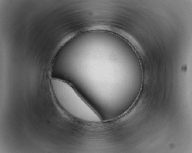 X0000103241241200808281026