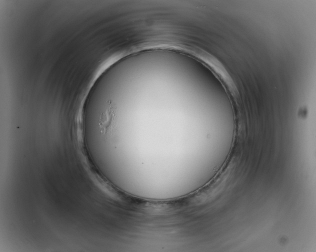 X0000103241242200808281026