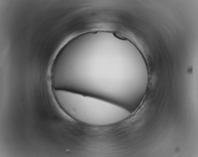 X0000103241243200808281026