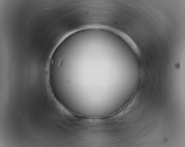 X0000103241244200808281026