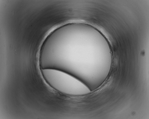 X0000103241245200808281026