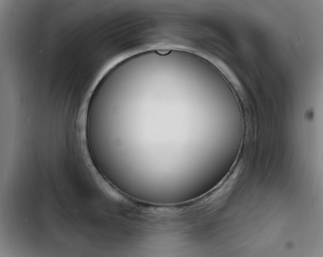 X0000103241246200808281026