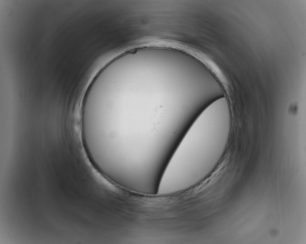 X0000103241247200808281026