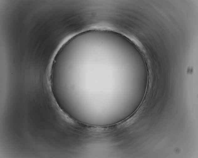 X0000103241248200808281026
