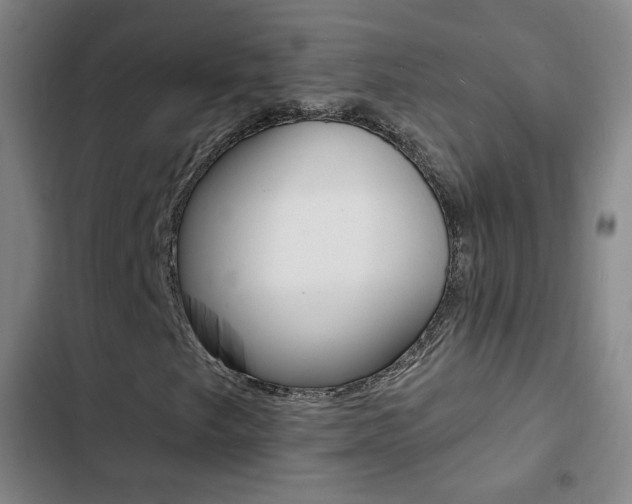 X0000103241249200808281025