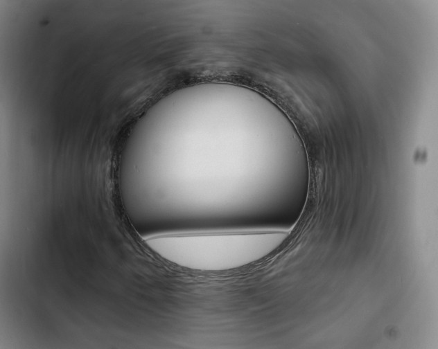 X0000103241250200808281025