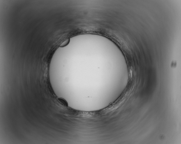 X0000103241251200808281025
