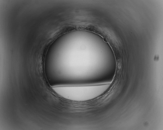 X0000103241252200808281025