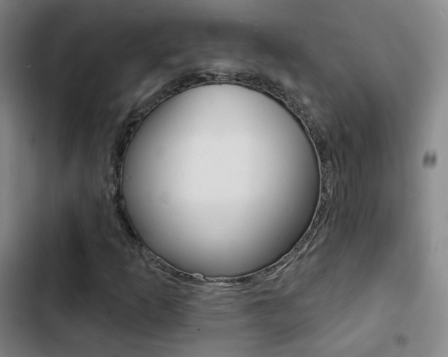 X0000103241253200808281025