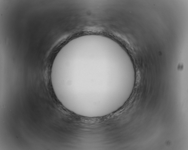 X0000103241254200808281025