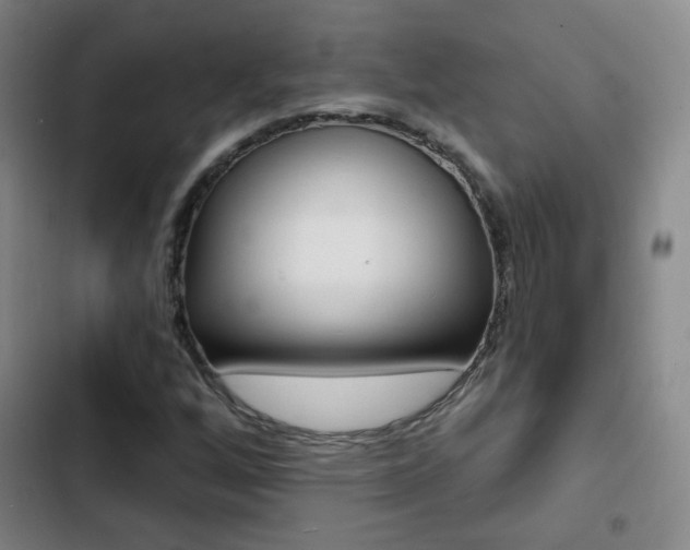 X0000103241256200808281025