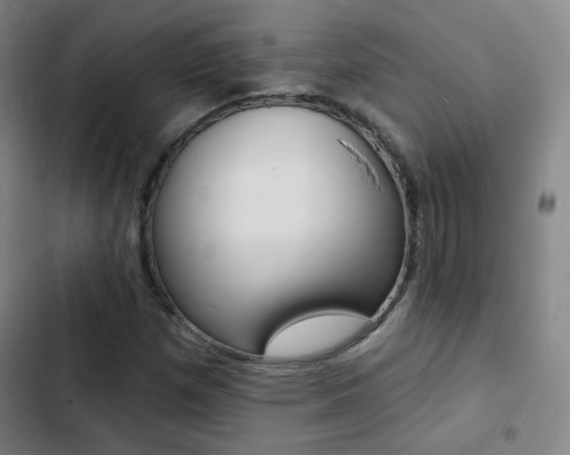 X0000103241257200808281025