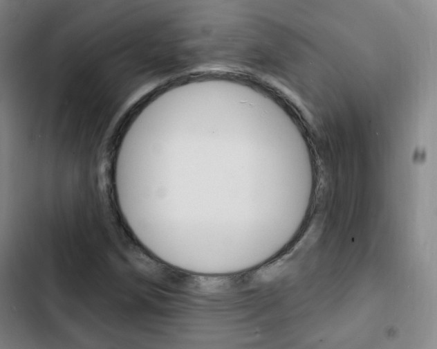 X0000103241258200808281025