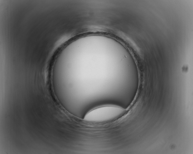 X0000103241261200808281025