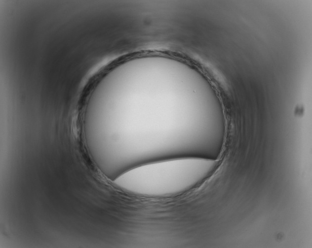 X0000103241262200808281025