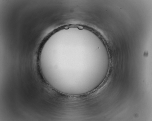 X0000103241263200808281025
