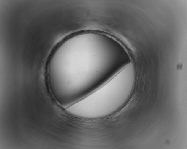 X0000103241264200808281025