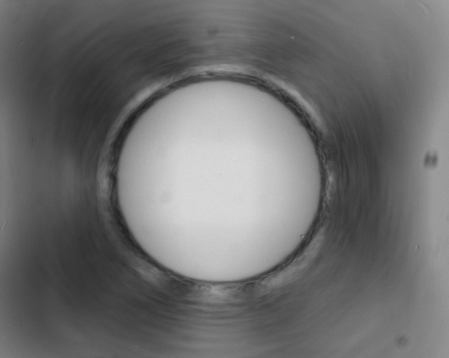 X0000103241266200808281025