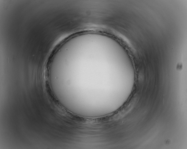 X0000103241267200808281025