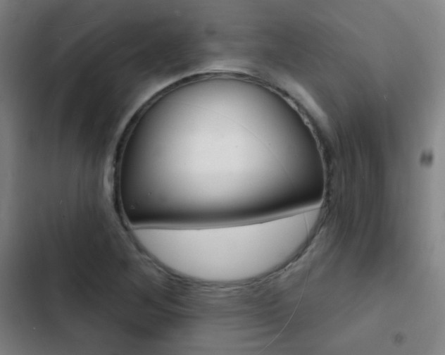 X0000103241268200808281025