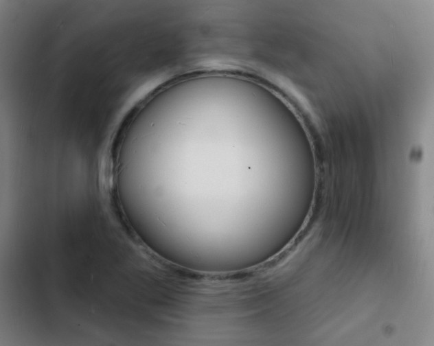 X0000103241269200808281025