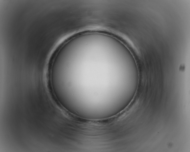 X0000103241270200808281025