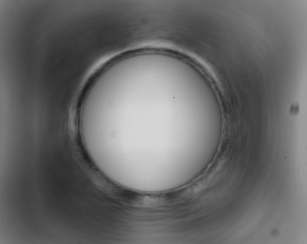 X0000103241271200808281025