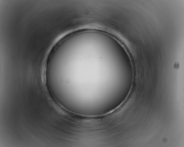X0000103241272200808281025