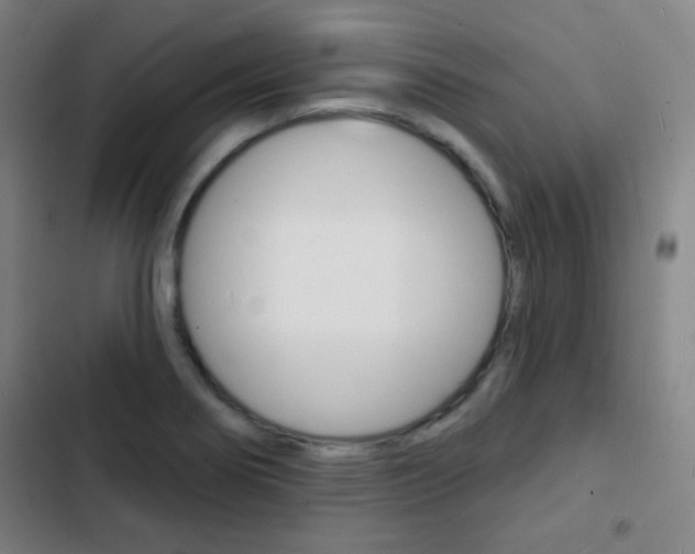 X0000103241274200808281025