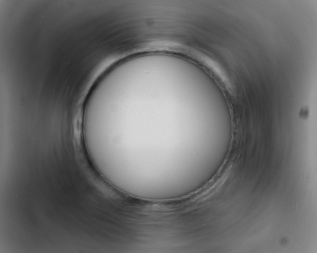 X0000103241275200808281025