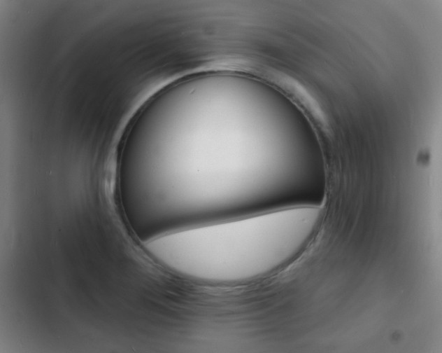 X0000103241276200808281025