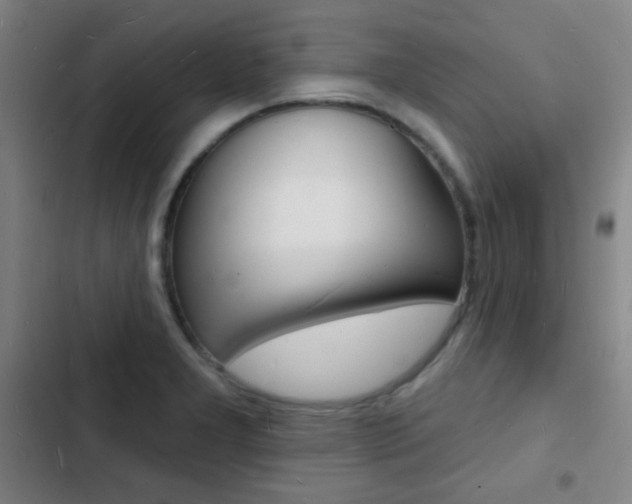 X0000103241277200808281025