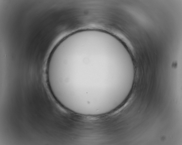 X0000103241278200808281025