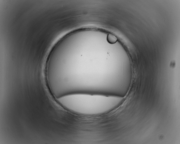 X0000103241279200808281025