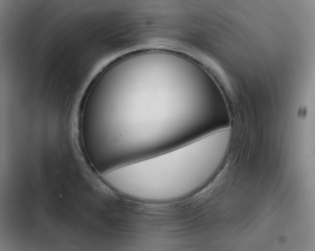 X0000103241280200808281025