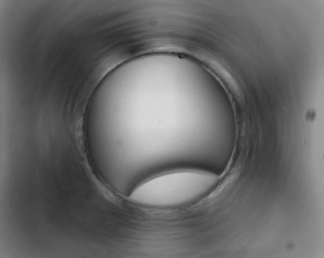 X0000103241281200808281024