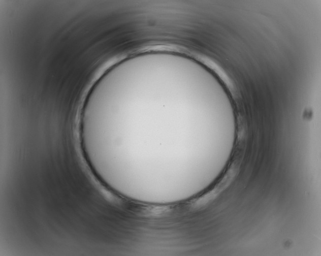 X0000103241282200808281024
