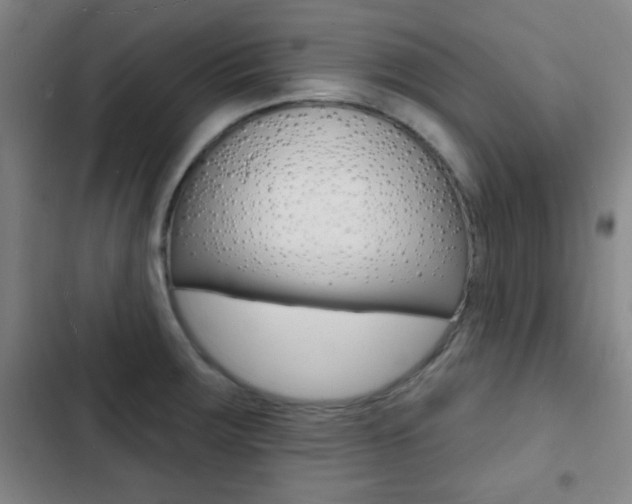 X0000103241283200808281024