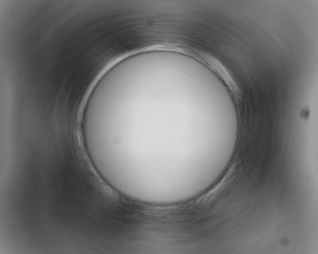 X0000103241284200808281024