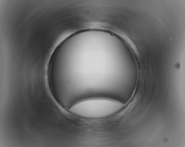 X0000103241285200808281024