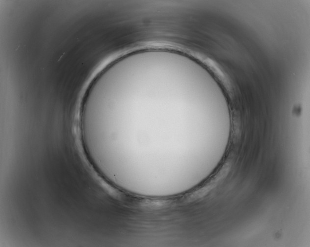 X0000103241286200808281024