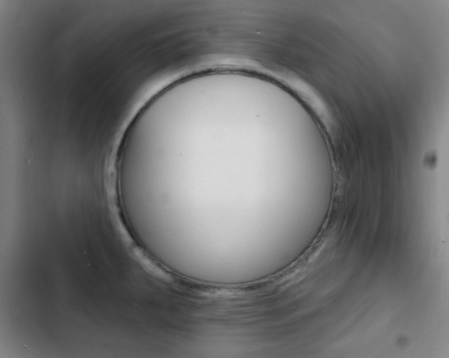 X0000103241287200808281024