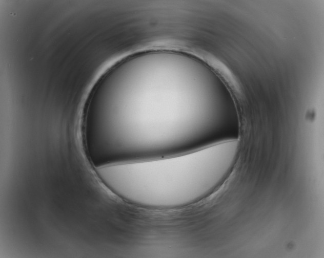 X0000103241288200808281024