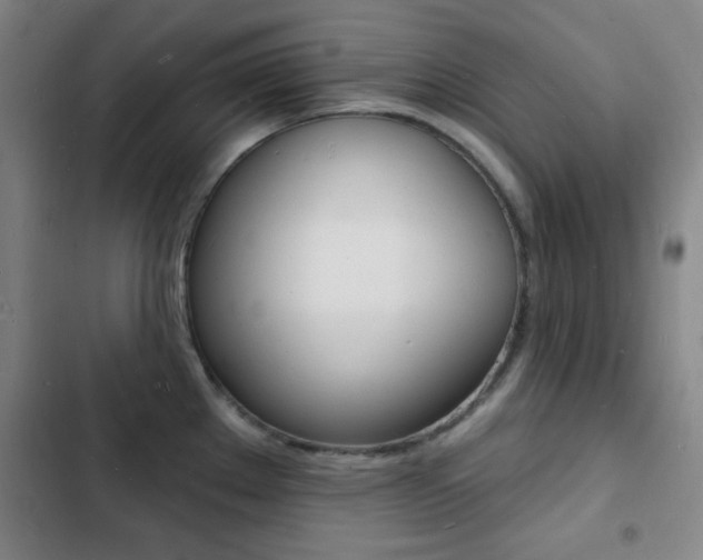 X0000103241289200808281024