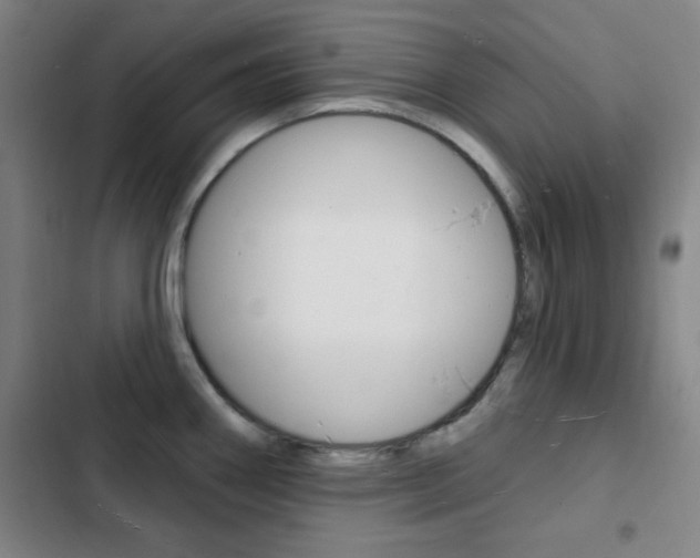 X0000103241290200808281024