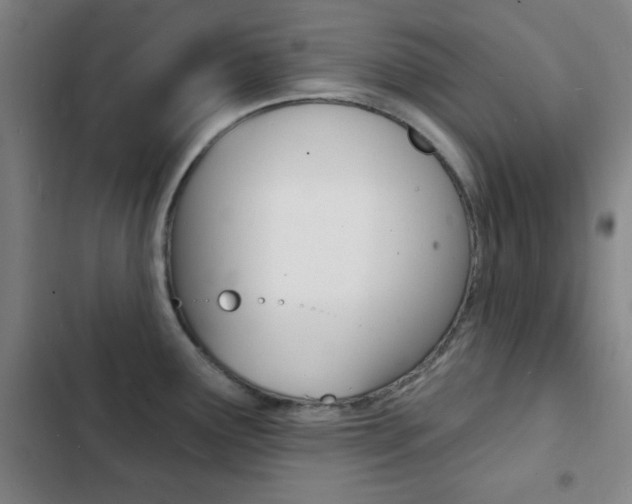 X0000103241291200808281024