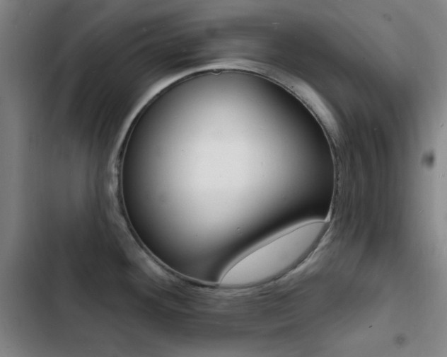 X0000103241292200808281024