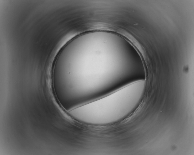 X0000103241293200808281024